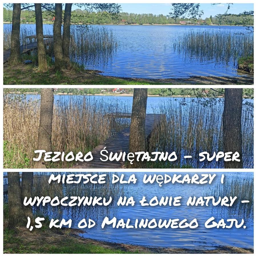 Swietajno  Malinowy Gaj - Agroturystyka Z Alpakami I Innymi Zwierzetami מראה חיצוני תמונה
