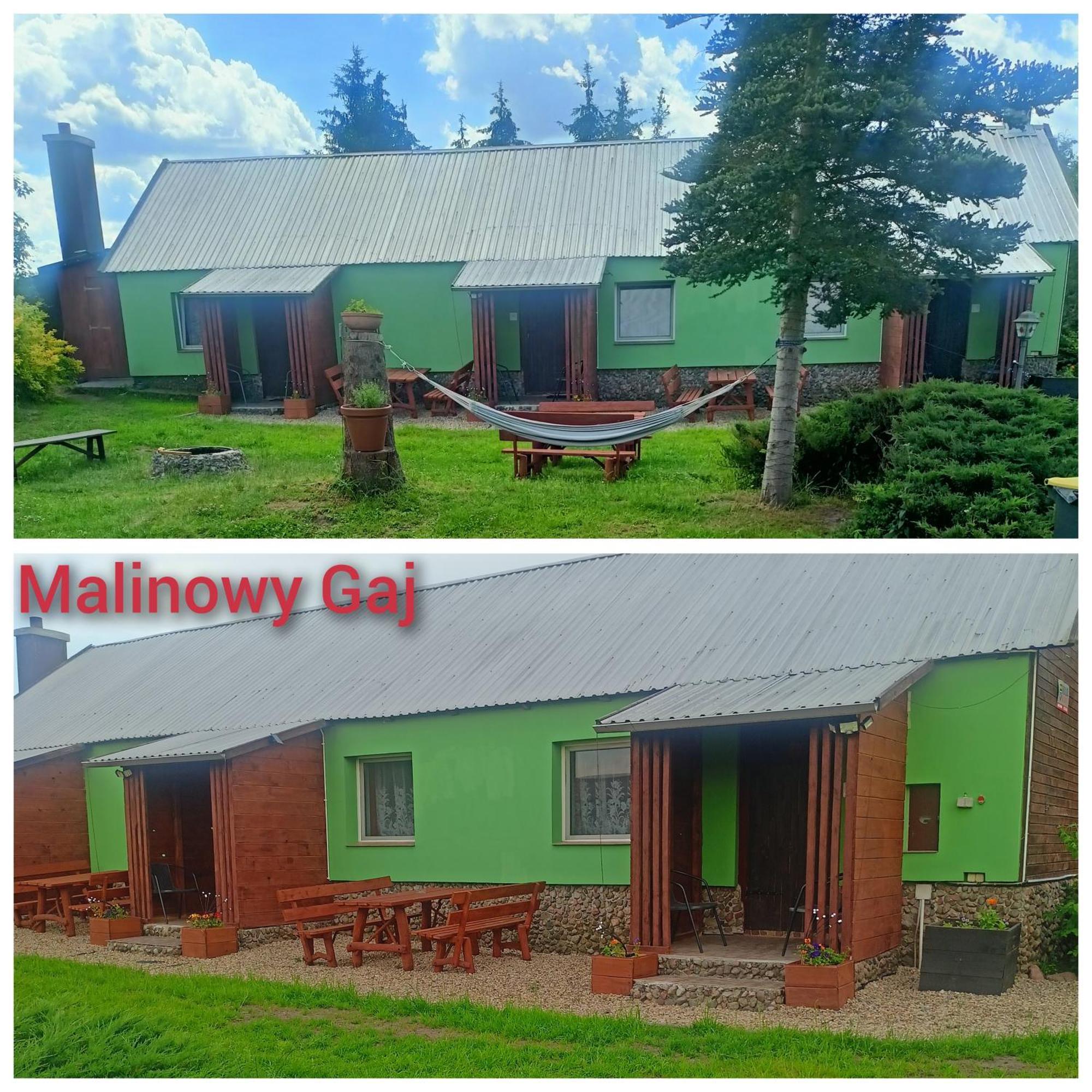 Swietajno  Malinowy Gaj - Agroturystyka Z Alpakami I Innymi Zwierzetami מראה חיצוני תמונה